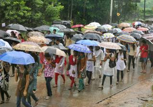 rainfall